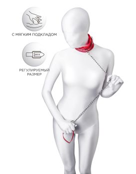 Красный ошейник с подкладкой из меха