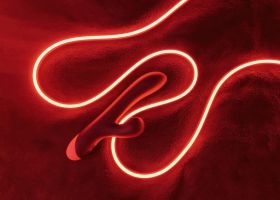 Romp Pulse – кролик, дарящий эмоции