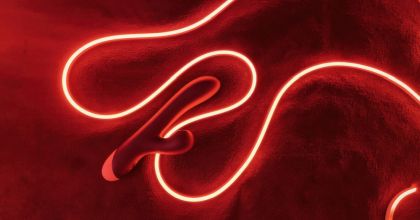 Romp Pulse – кролик, дарящий эмоции