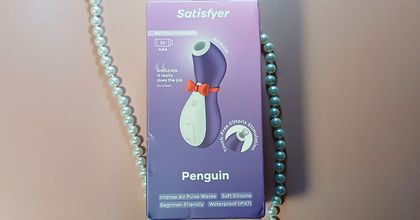 Снова пингвин!